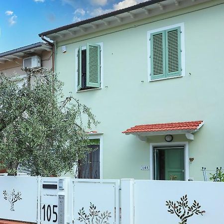 سان مينياتو B&B Ulivo Gaio المظهر الخارجي الصورة