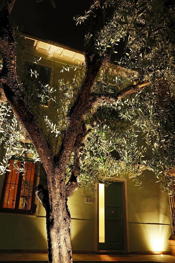سان مينياتو B&B Ulivo Gaio المظهر الخارجي الصورة