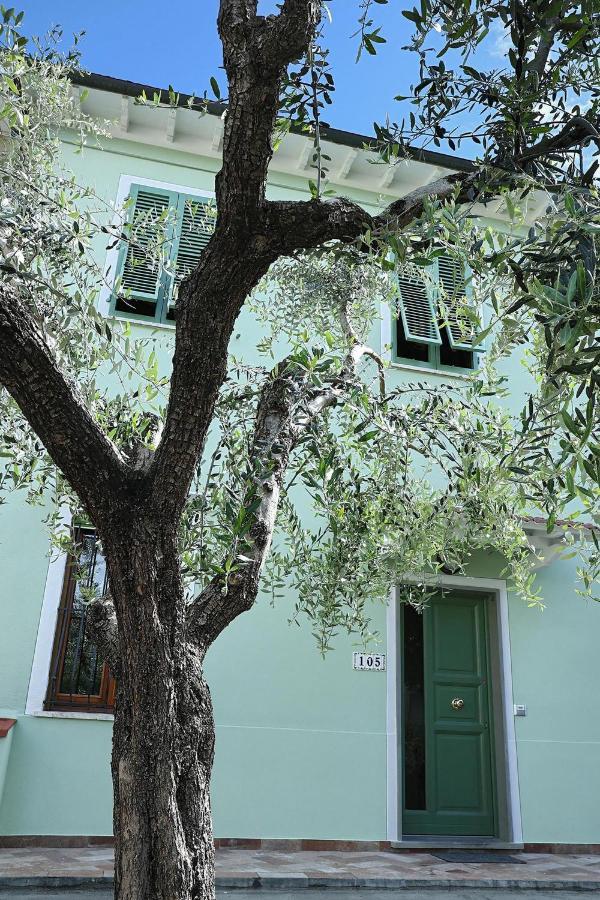 سان مينياتو B&B Ulivo Gaio المظهر الخارجي الصورة